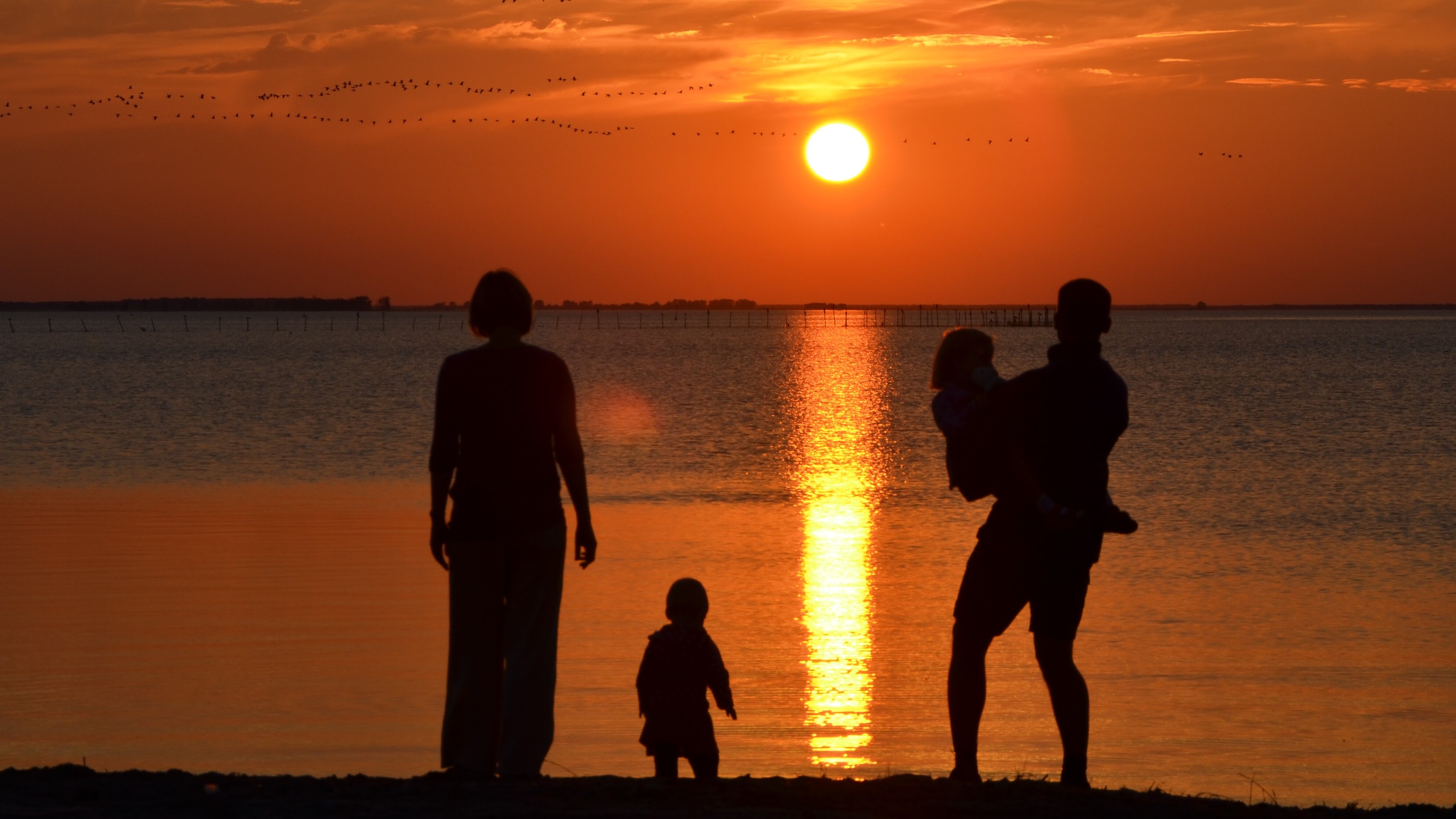 Biohotel: Sonnenuntergang an der Nisdorfer Badestelle. - Ostsee Ferien im Gut Nisdorf GmbH