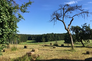 Biohotel: Kellerstöckl am veganen Bio-Lebenshof "Varm - die vegane Farm" - nur für Hundefreunde und Naturliebhaber empfohlen !!