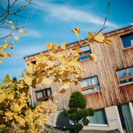 Biohotel: 3 neue Lärchen-Holz und Lehmgebäude (von Rubens Holzbau, Südtirol), in denen die kleinste Zimmereinheit, die Klausen, sich befinden.   - TamanGa Lebensgarten
