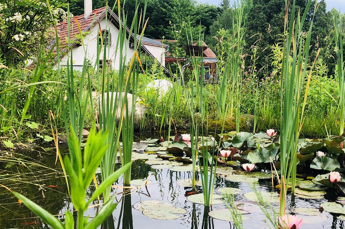Biohotel: Blick über den runden Teich zum Gebäude mit der Rezeption. - TamanGa Lebensgarten