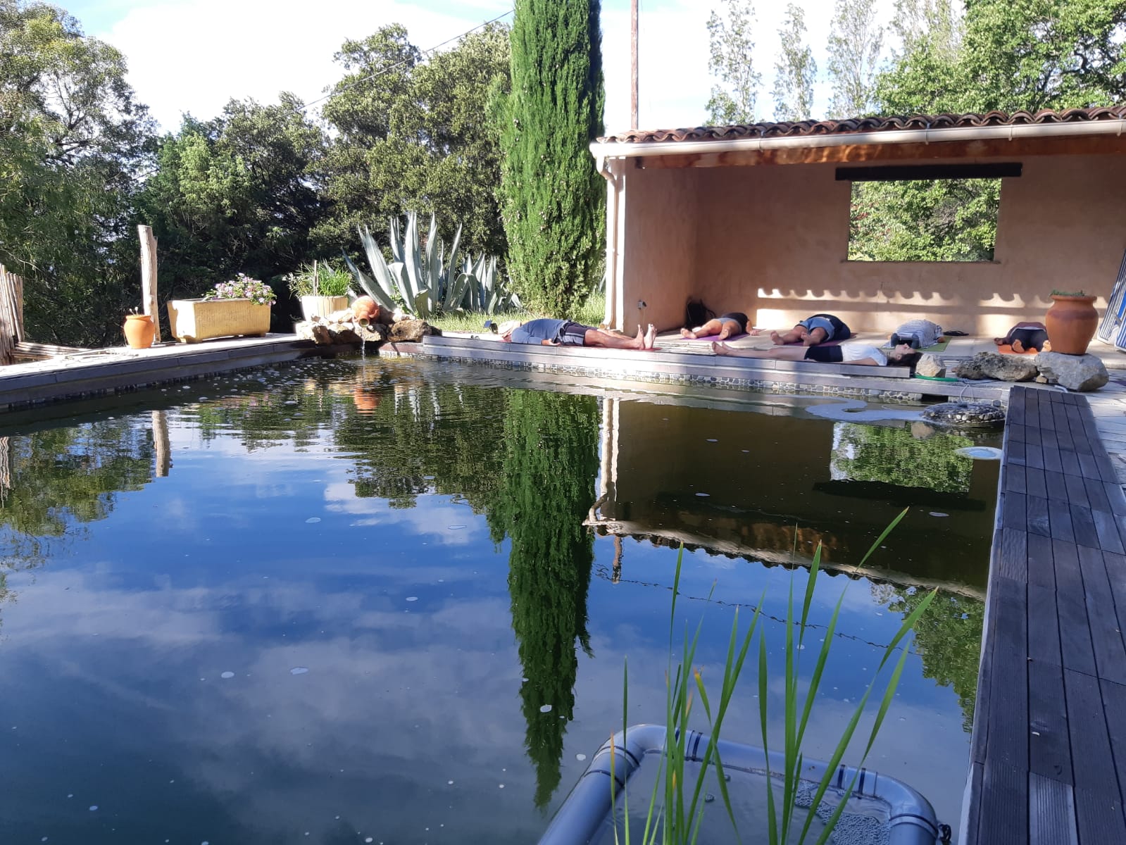 Biohotel: Natürlicher Swimmingpool - Abriecosy