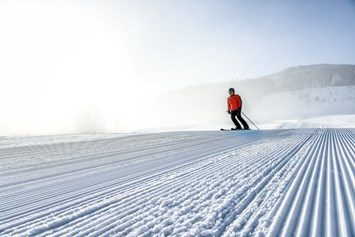 Biohotel: Skifahren - Naturresort PURADIES