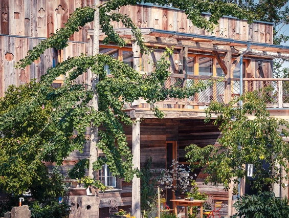Biohotel: Übernachte im Doppelzimmer Maple Tree und Parquet oder im Apartment Dome - der baum