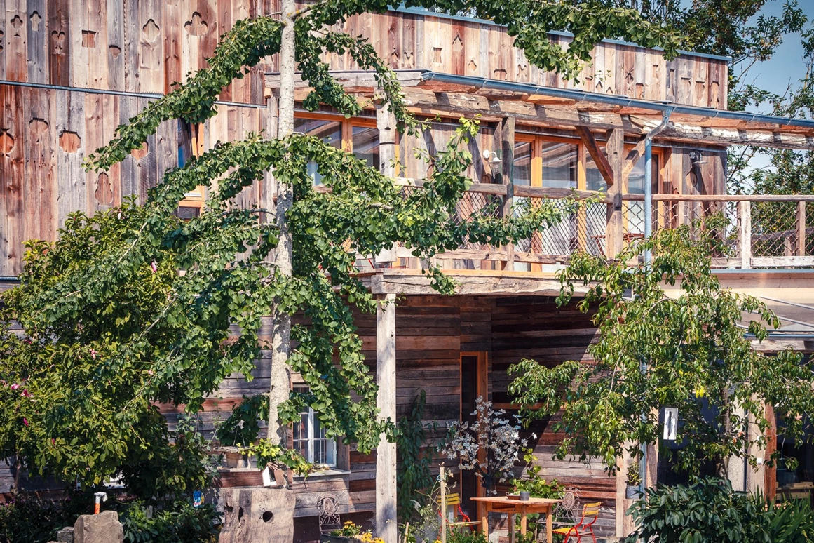 Biohotel: Übernachte im Doppelzimmer Maple Tree und Parquet oder im Apartment Dome - der baum