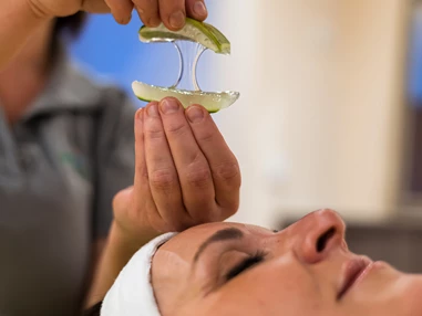 Biohotel: Aloe-Vera-Naturkosmetik von "Pharmos Natur" bringt Sie zum Strahlen... - Biohotel Eggensberger