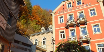 Naturhotel - Umgebungsschwerpunkt: Wald - Bio-Hotel Zur Mühle