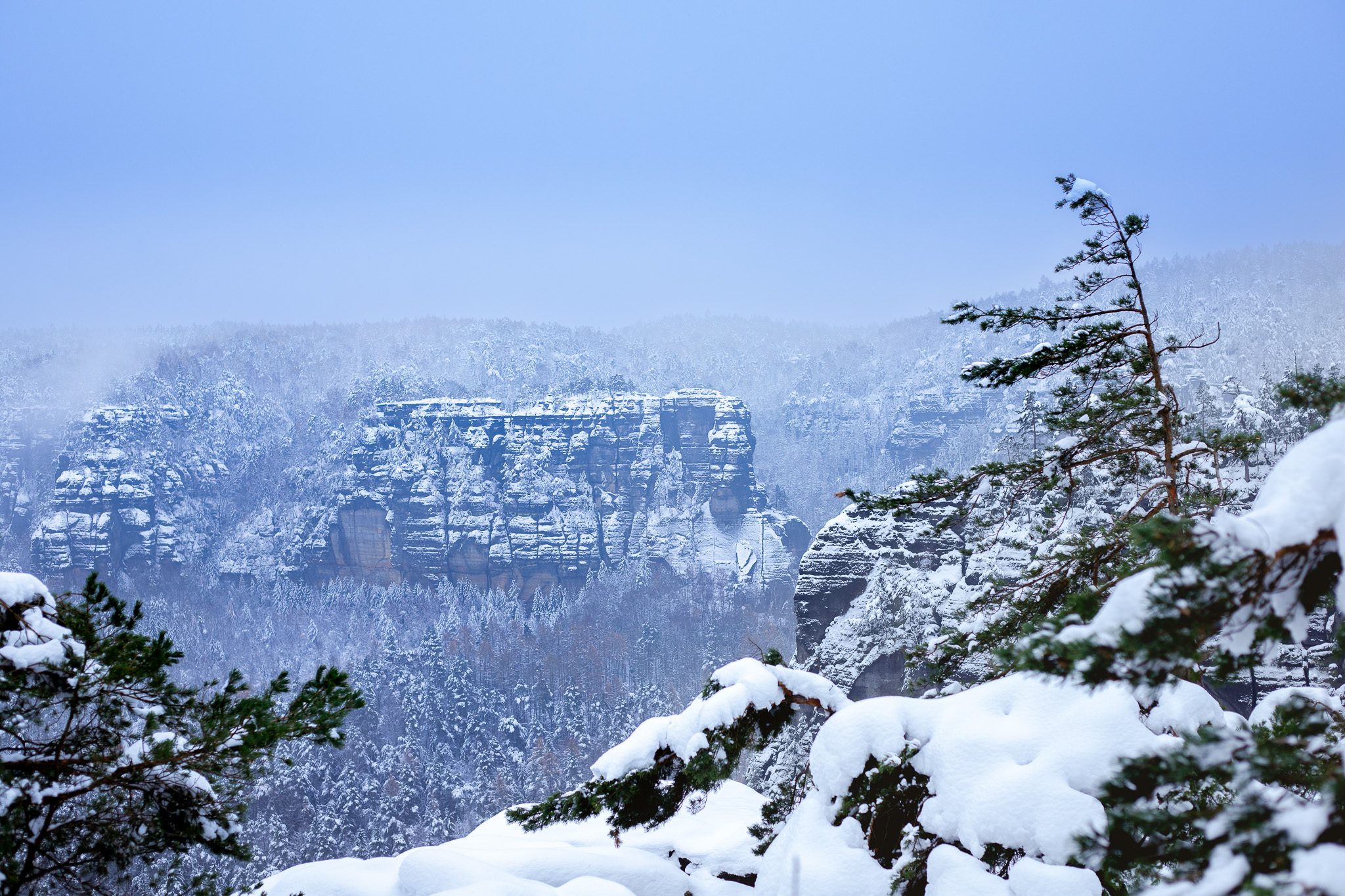 Biohotel: Bio-Hotel Helvetia