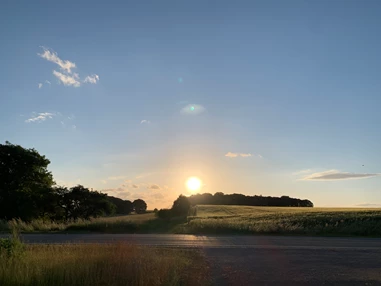 Biohotel: Sonnenuntergang vor dem Vegan Resort - Vegan Resort
