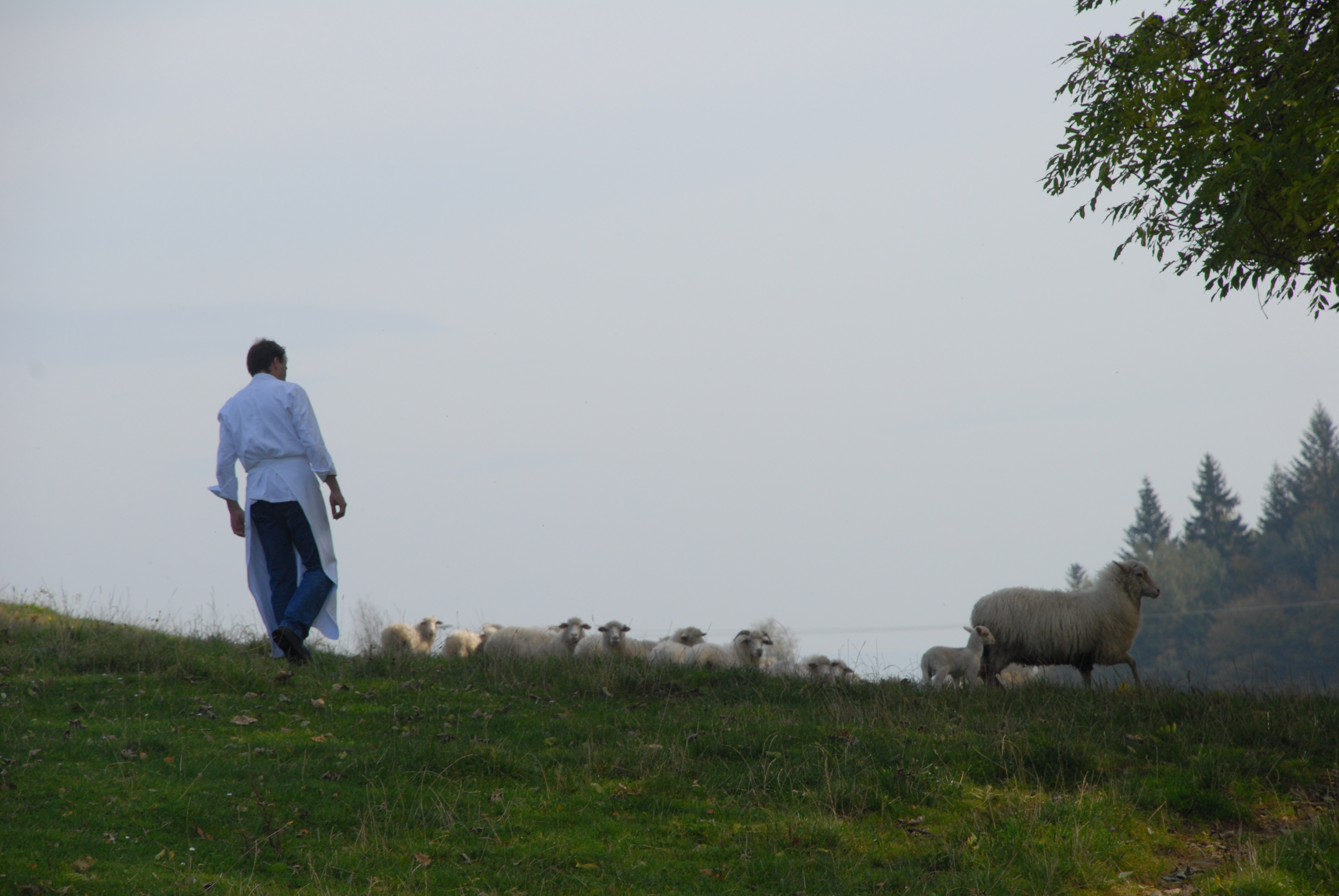 Biohotel: Biohotel Pausnhof