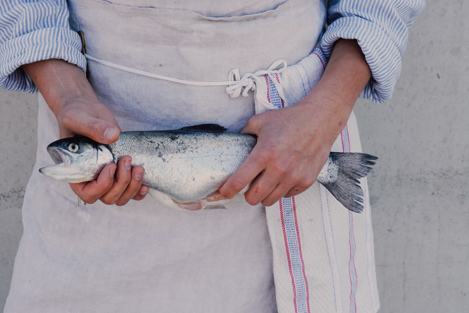 Biohotel: Biohotel Pausnhof