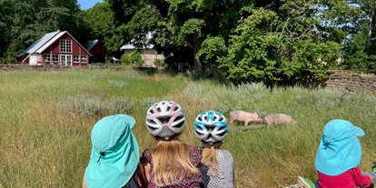 Nature hotel - Müllmanagement: Maßnahmen zur Abfallvermeidung - Sweden - Schweine beobachten macht eben auch Spass. - Sonnenhügelhof (Solberga Gård)