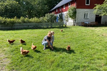 Biohotel: Die Hühner sind auch gern mal draussen. - Sonnenhügelhof (Solberga Gård)