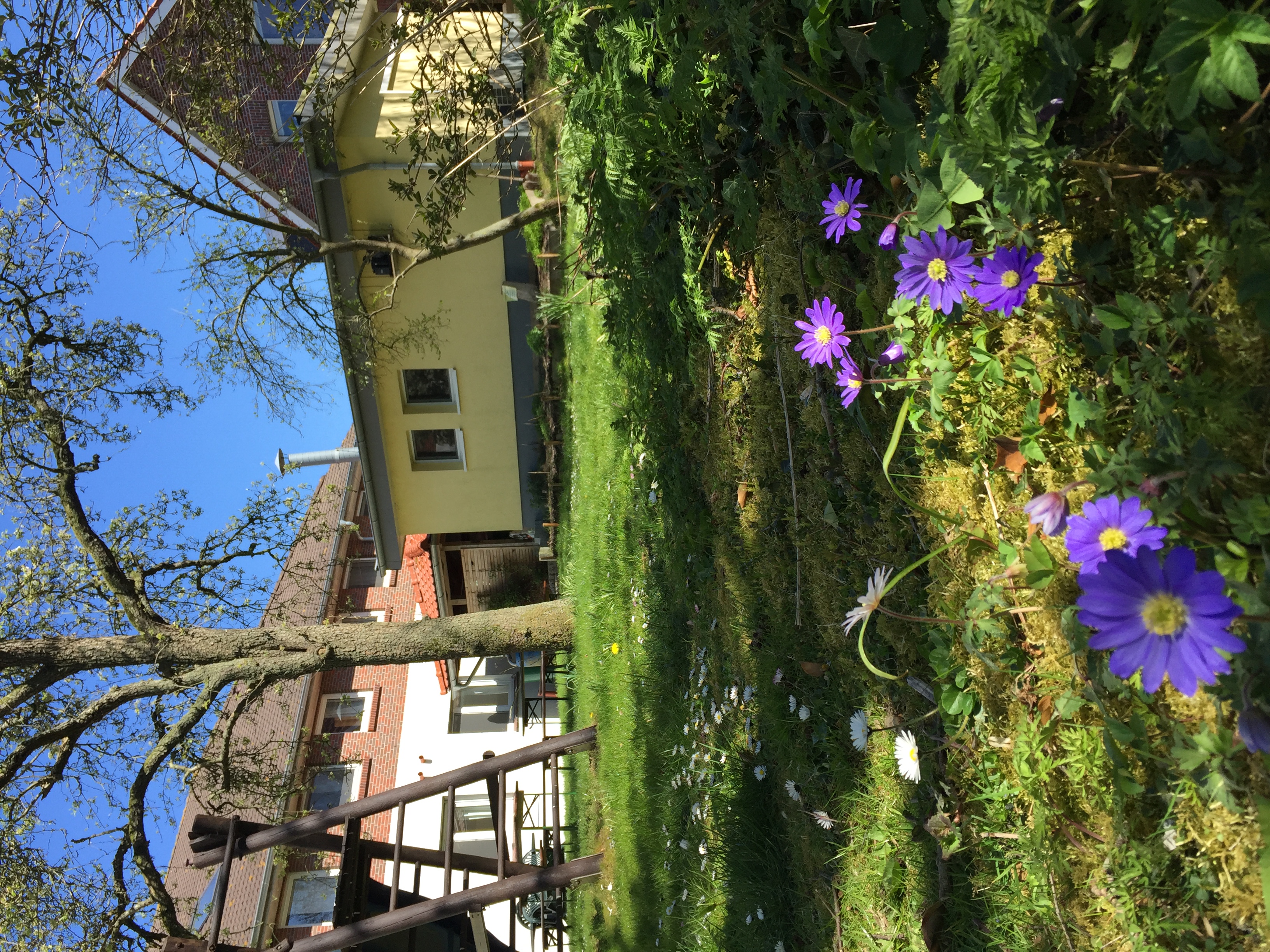 Biohotel: Yoga Vidya Nordsee