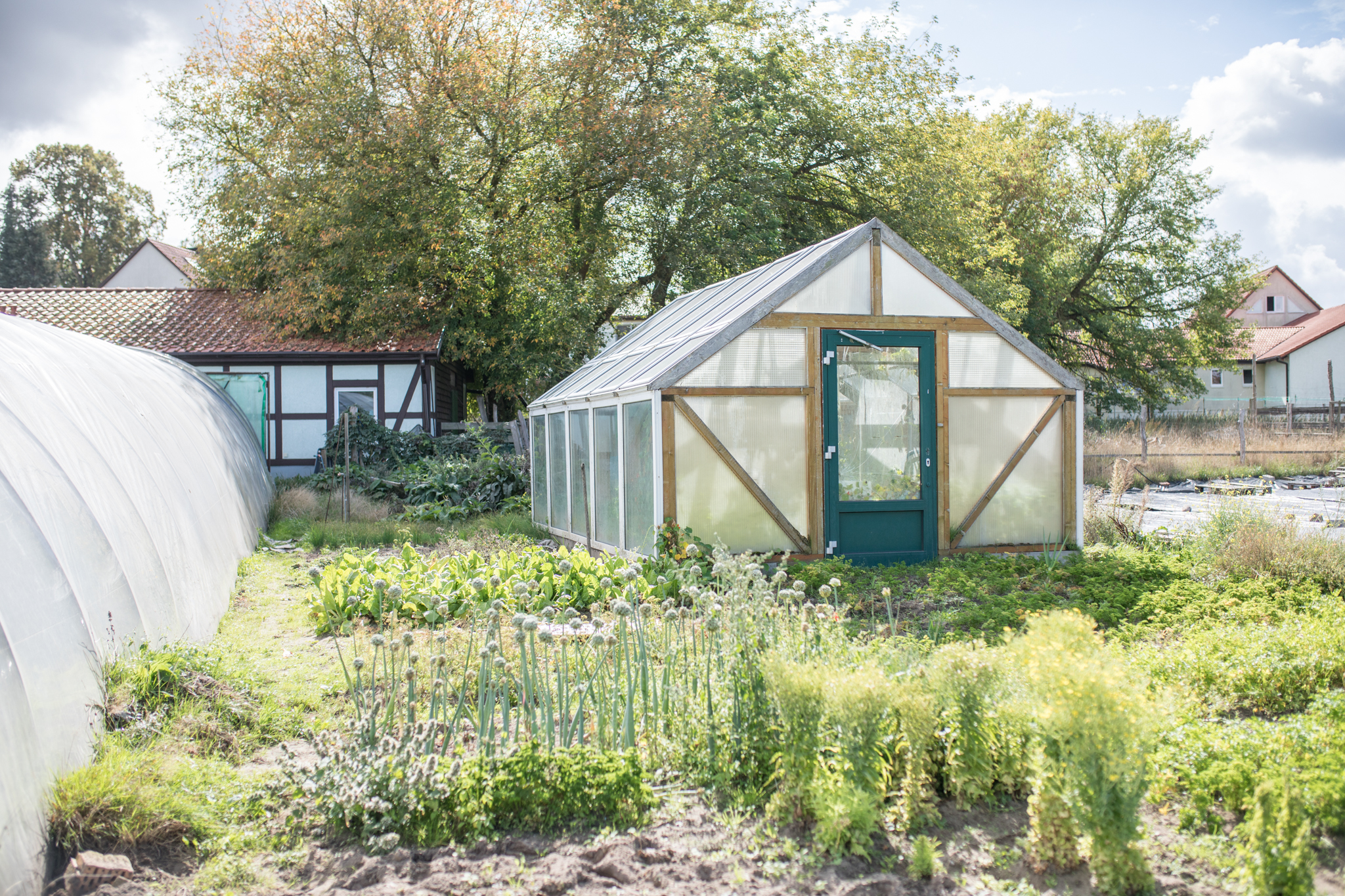 Biohotel DIE ARCHE Biohotel in Zislow Mecklenburg Vorpommern