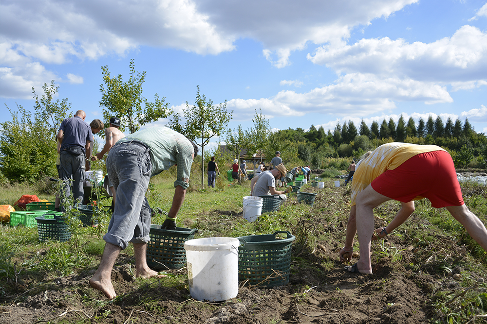 Naturhotel - PLZ 29478 (Deutschland) - Ökodorf Sieben Linden - Seminarhaus