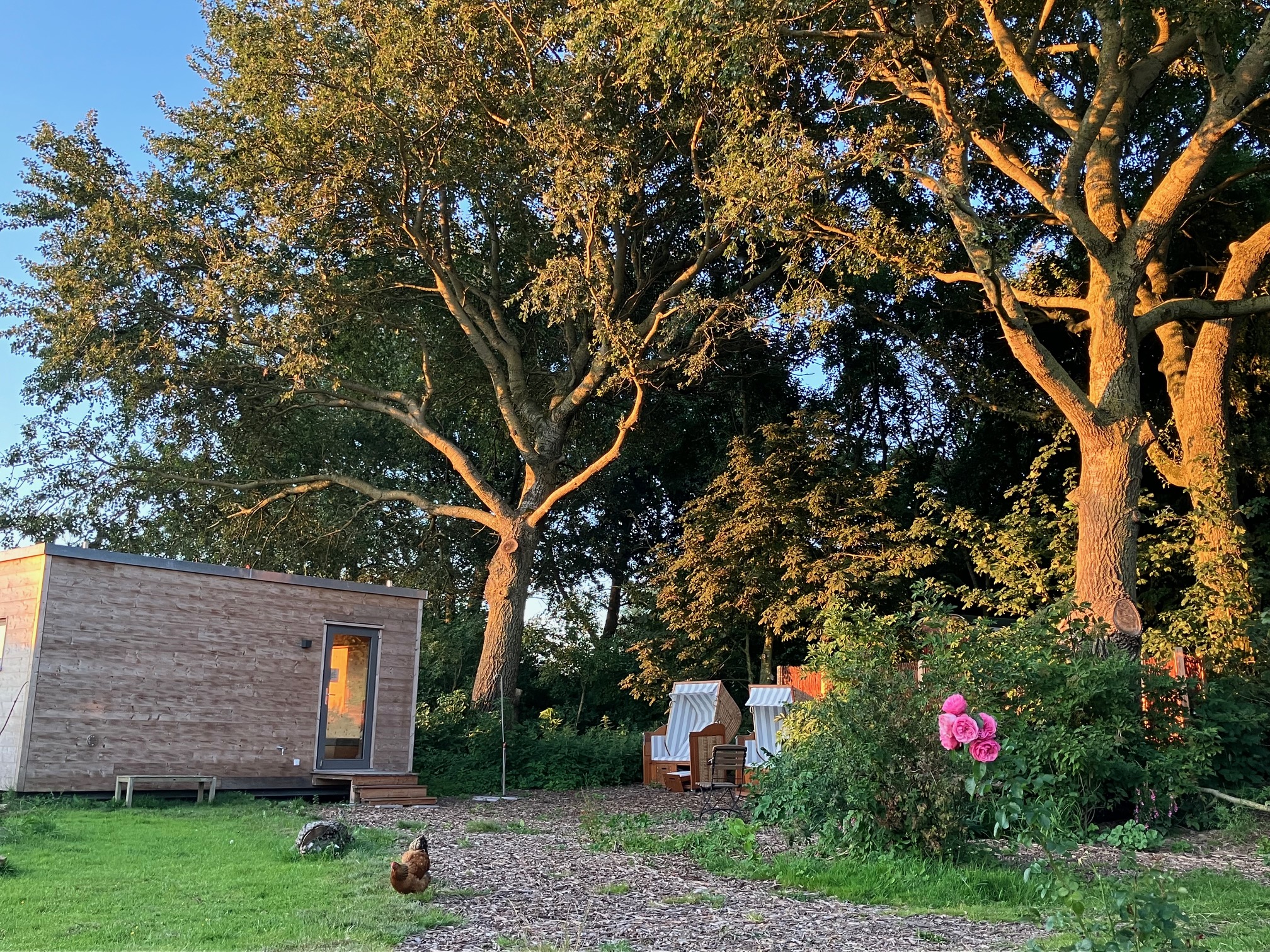 Biohotel: Haus am Watt