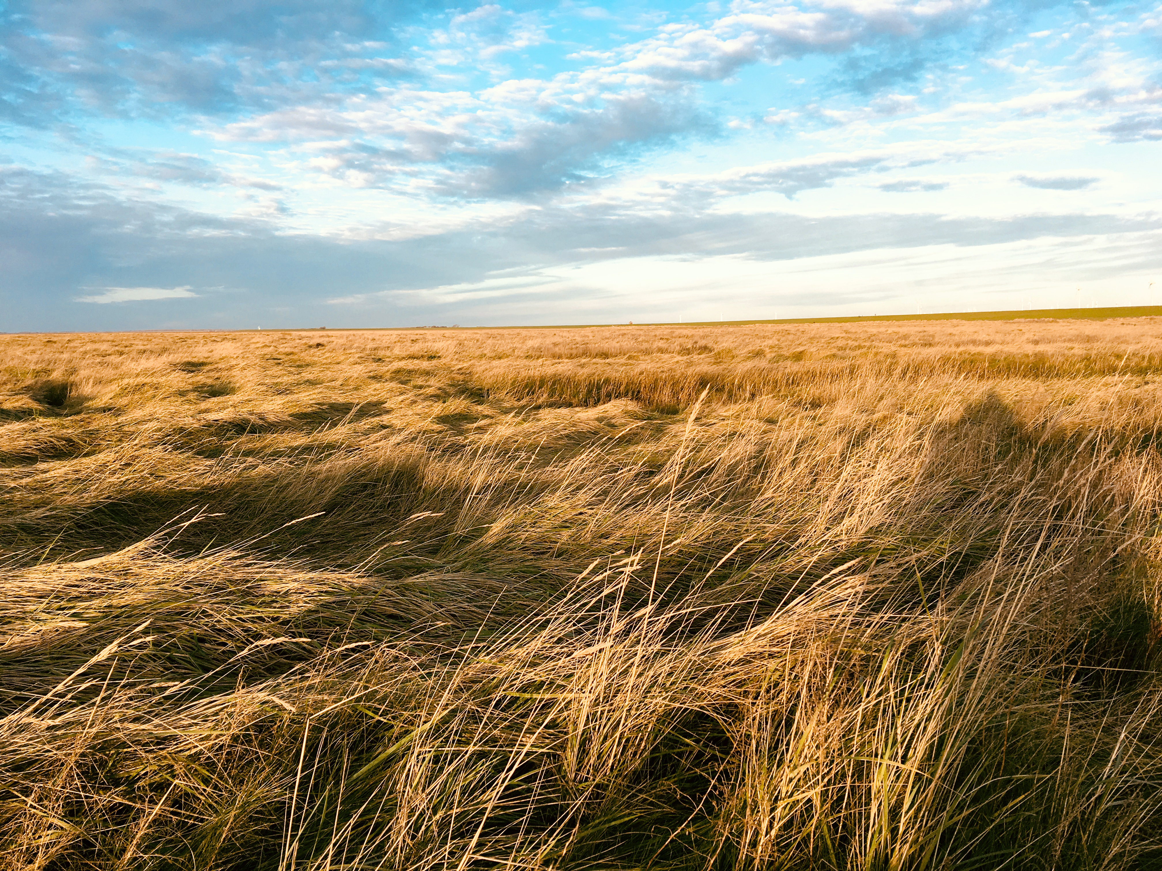 Biohotel: Haus am Watt