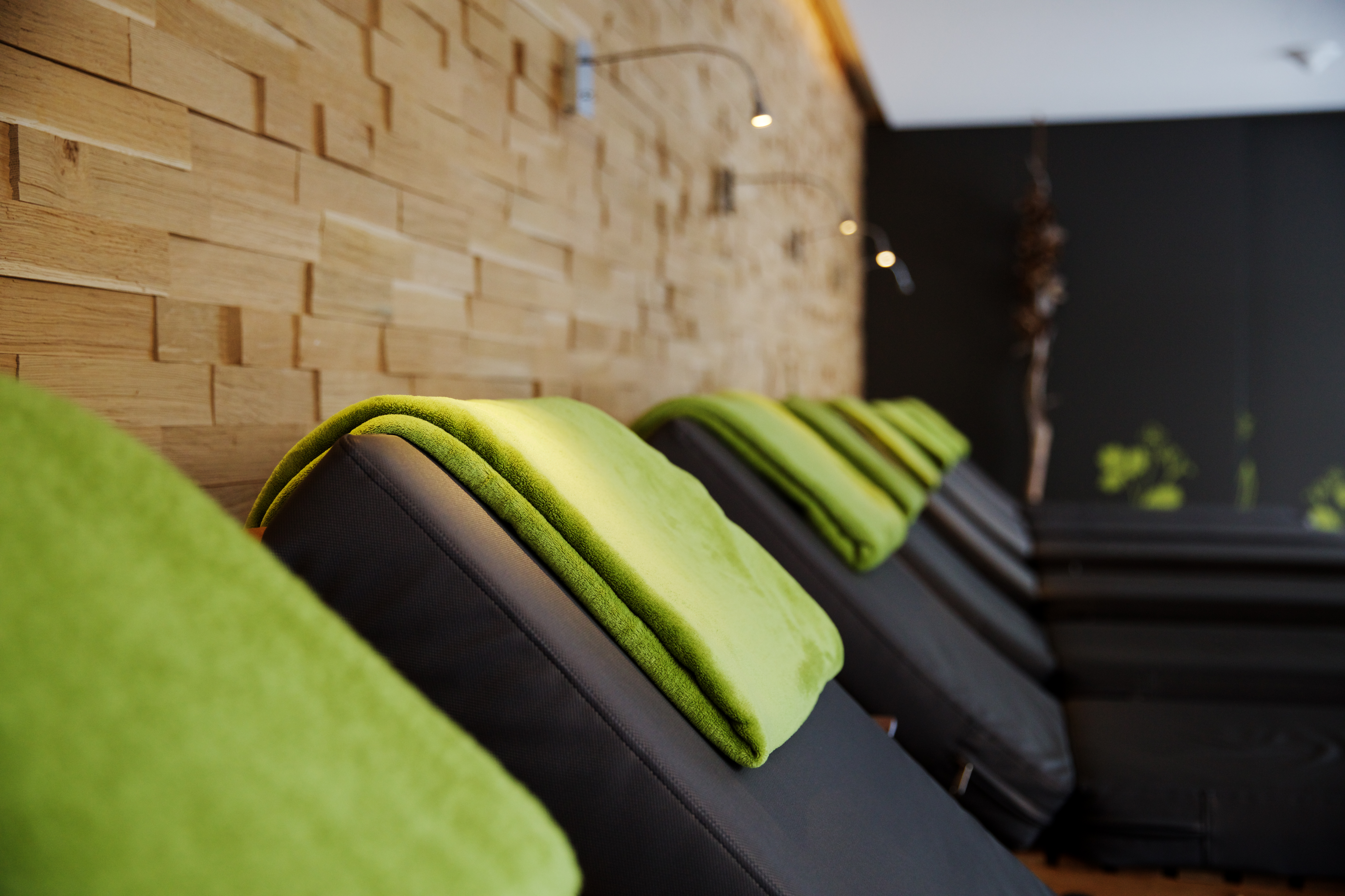 Biohotel: Bio-Seehotel Zeulenroda