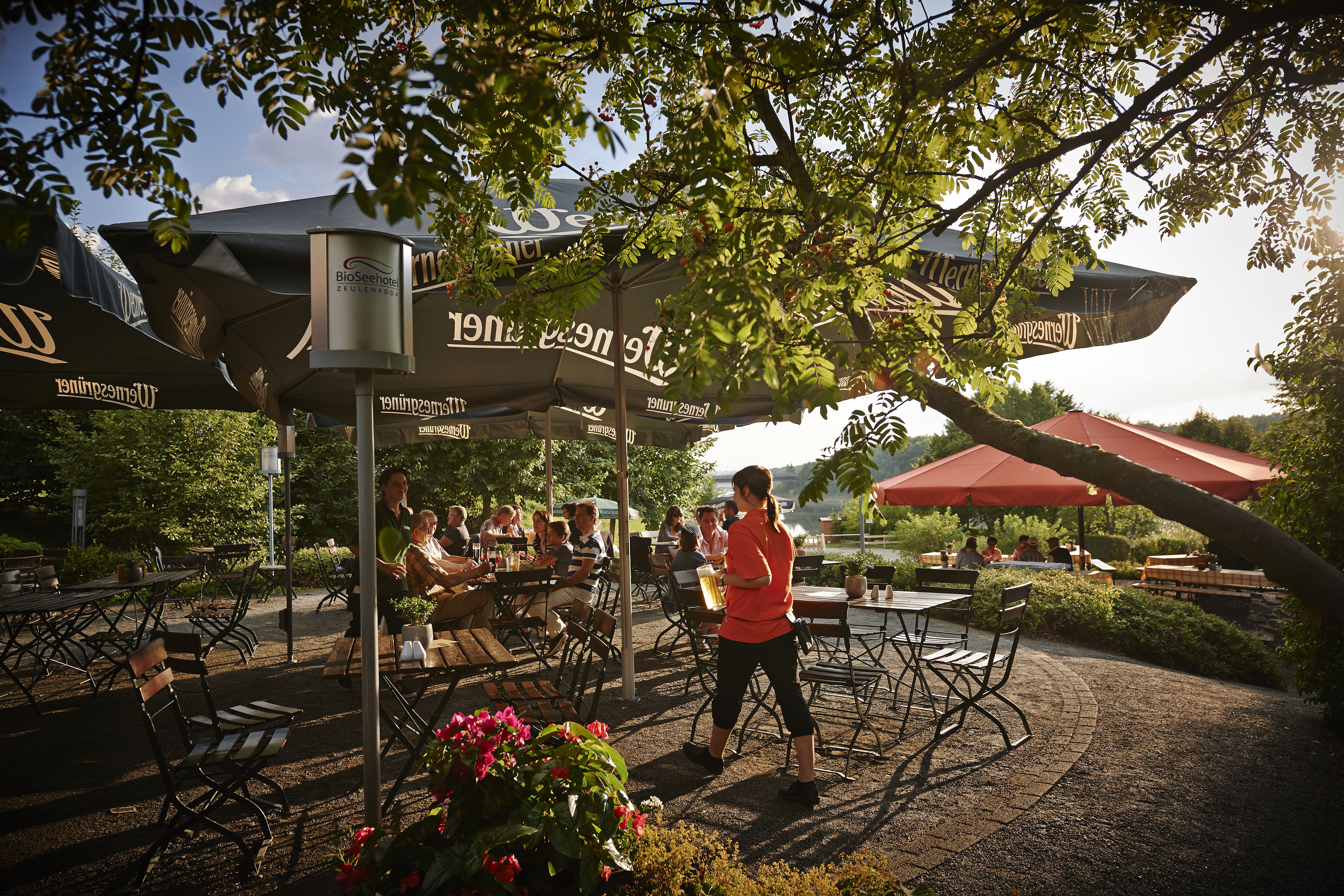 Biohotel: Bio-Seehotel Zeulenroda