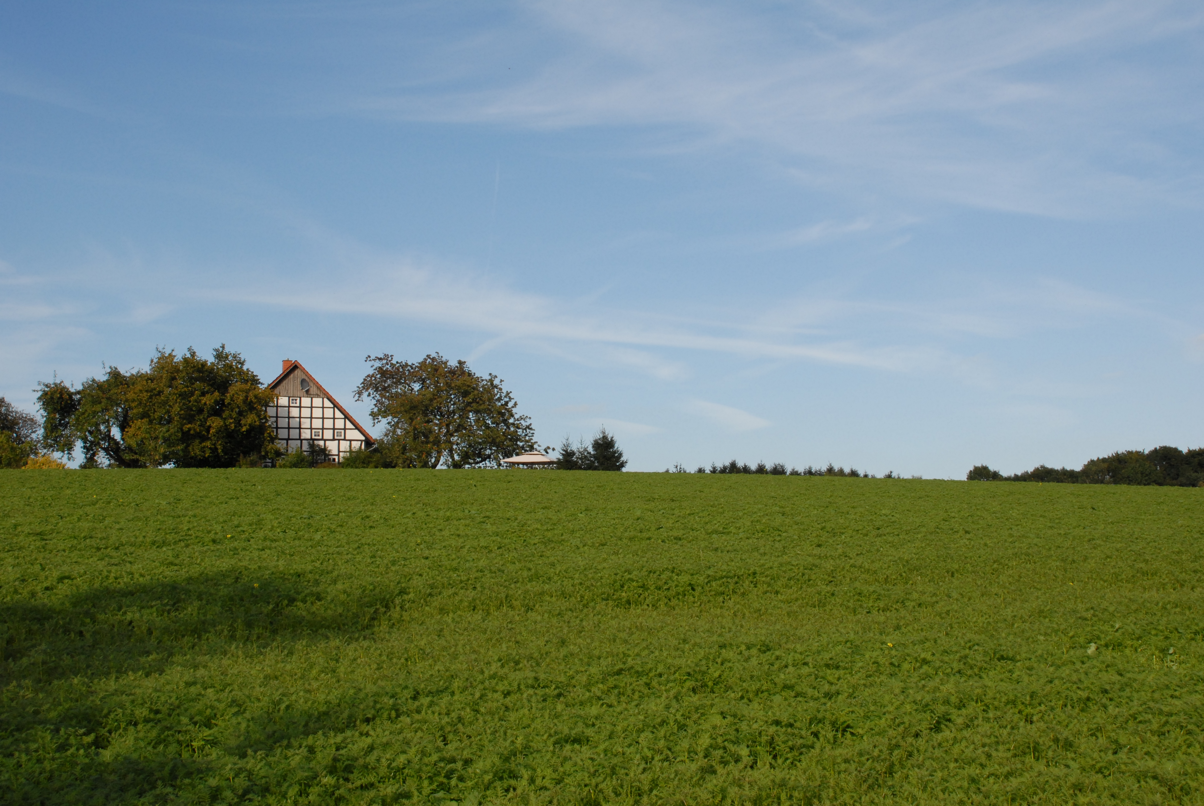 Biohotel: Osnabrücker Land - Bio-Hotel Melter