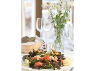 Biohotel: Bio-Restaurant mit Genussküche (Menüwahl oder á la carte) - Bio-Thermalhotel Falkenhof