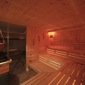 Biohotel: Finnische Sauna (75°C) - Bio-Thermalhotel Falkenhof