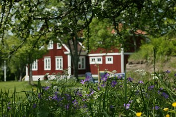 Biohotel: Ein veganes, ökologisches Urlaubsparadies im Süden von Schweden. - Lilla Sverigebyn