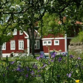 Biohotel: Ein veganes, ökologisches Urlaubsparadies im Süden von Schweden. - Lilla Sverigebyn