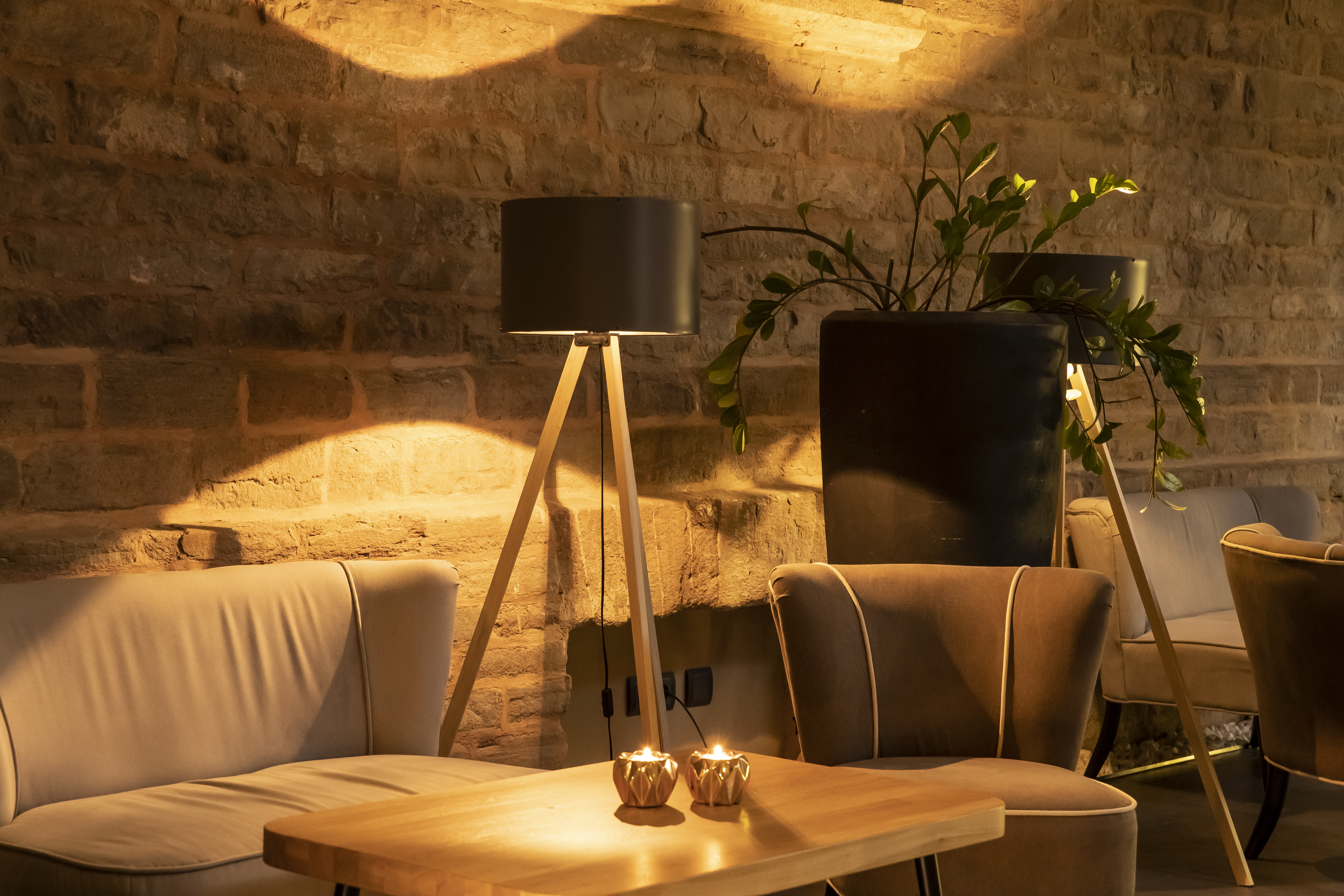 Biohotel: Lobby - Schlosshotel Blankenburg