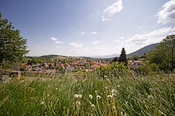 Biohotel: Urlaub im Herzen der Ammergauer Alpen. - moor&mehr Bio-Kurhotel