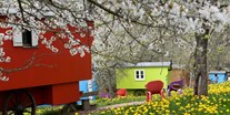 Naturhotel - Hoteltyp: BIO-Urlaubshotel - Franken - Kirschblüte im schäferwagen-Hotel - krenzers rhön: Hotel + Apfelweingut + Bio-Landwirtschaft