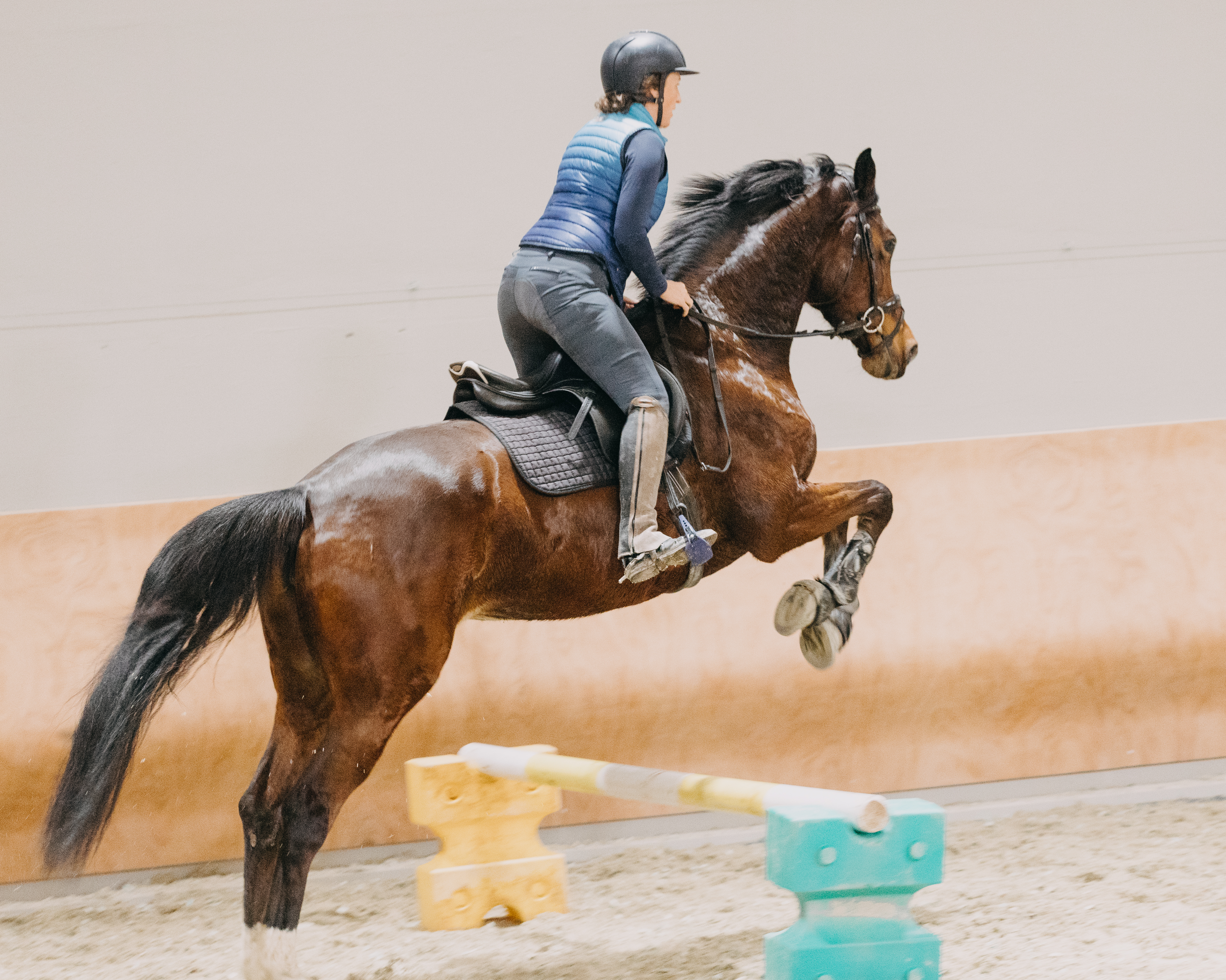 Biohotel: Hotel Walliserhof