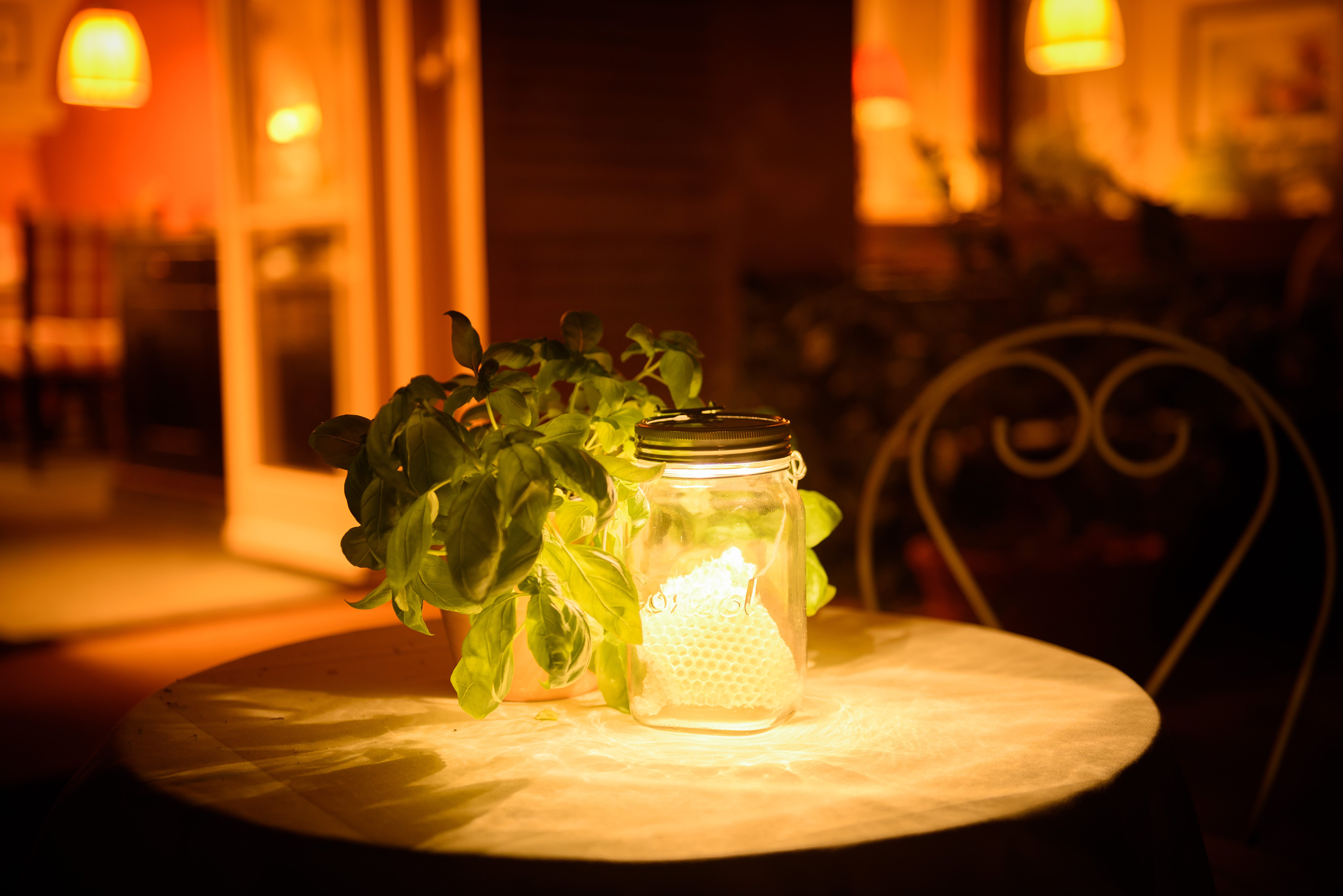 Biohotel: Sommer - Biohotel Bavaria