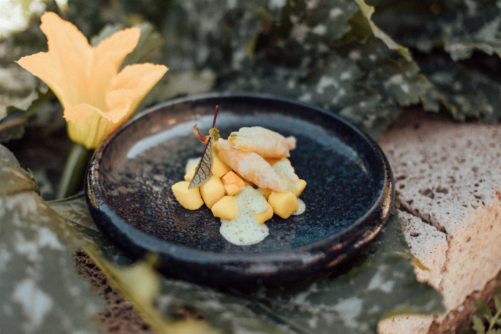 Biohotel: Biorefugium theiner's garten