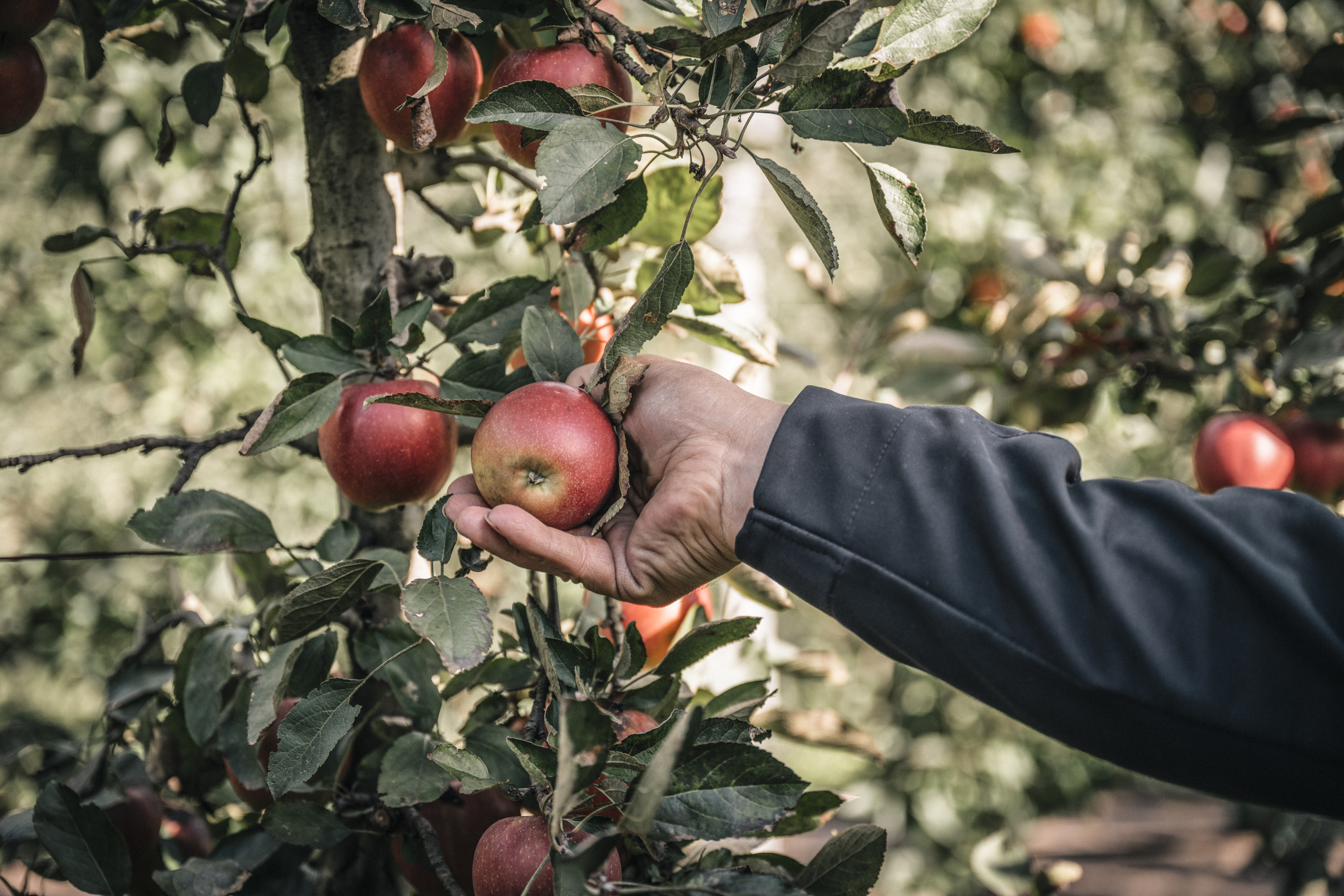 Biohotel: Biorefugium theiner's garten