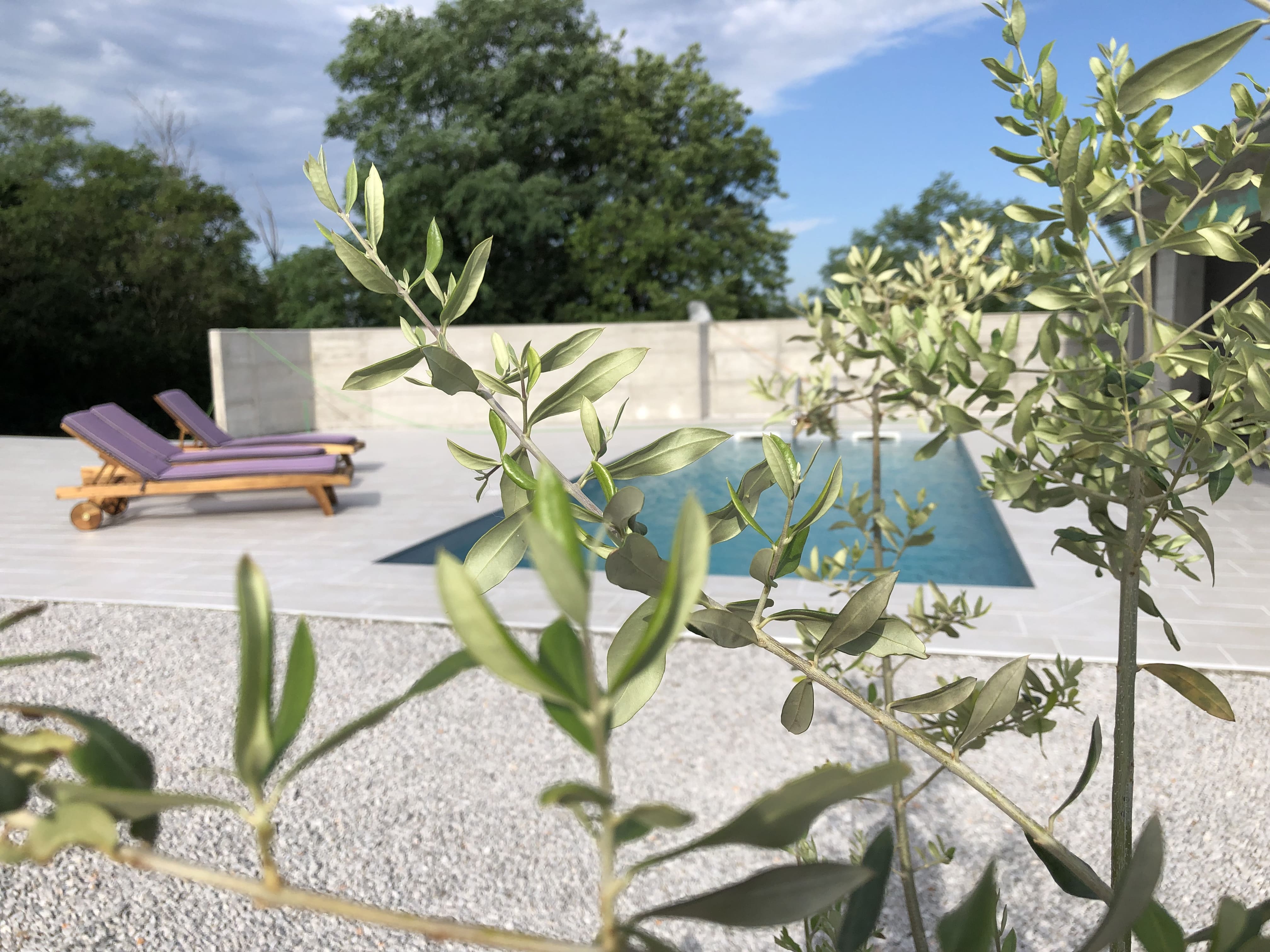 Naturhotel - Hoteltyp: BIO-Urlaubshotel - Slowenien - BIO HOTEL St. Daniel: Entspannen am Pool - St. Daniel