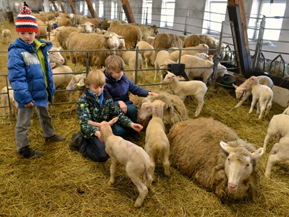 Nature hotel - Anzahl Tagungsräume - South Bohemian region - Im Stall - Biofarm Sonnberg