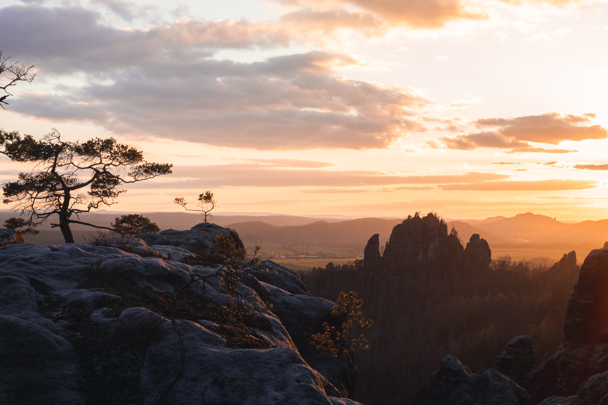 Biohotel: Bio-Pension Forsthaus